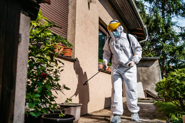 Best Pest Control Near Me  in Fort Belknap Agency, MT