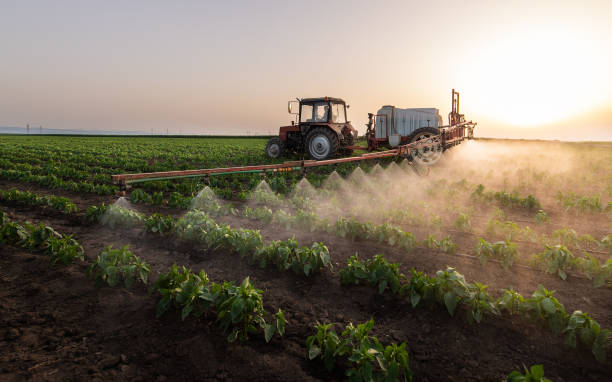 Best Mosquito Control Services  in Fort Belknap Agency, MT