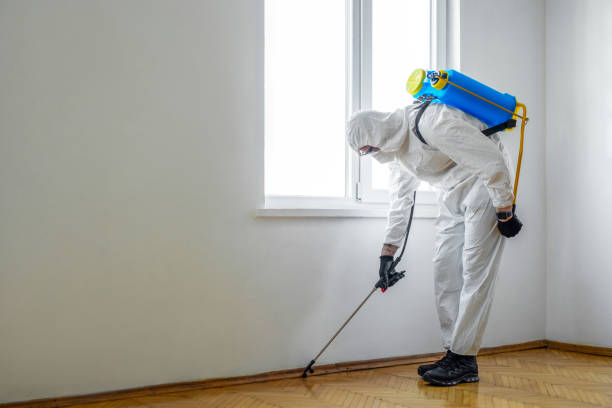 Best Best Pest Control Companies  in Fort Belknap Agency, MT