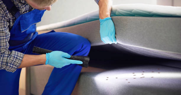 Best Affordable Pest Control Services  in Fort Belknap Agency, MT