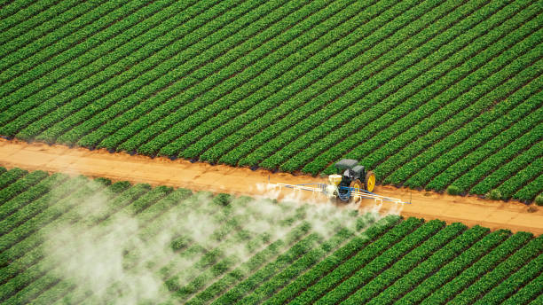 Best Termite Control Services  in Fort Belknap Agency, MT
