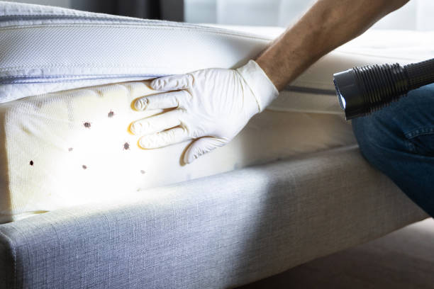 Best Commercial Pest Control Services  in Fort Belknap Agency, MT