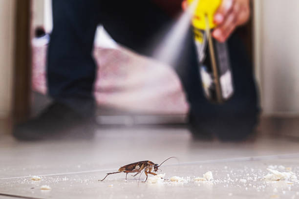 Insect Control in Fort Belknap Agency, MT