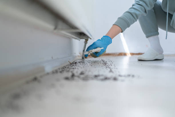 Trusted Fort Belknap Agency, MT Pest Control Experts