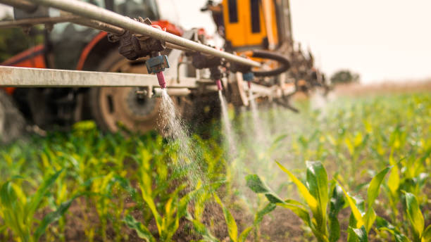 Best Pest Removal Services  in Fort Belknap Agency, MT